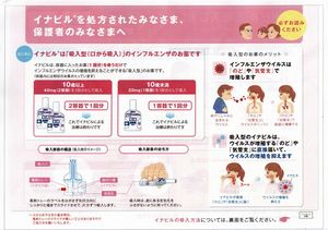 イナビル吸入粉末剤20r