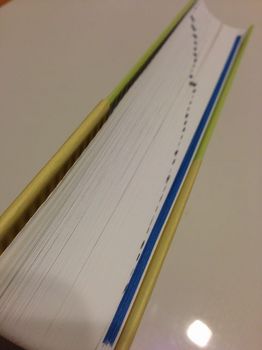 ポケット医薬品集2013